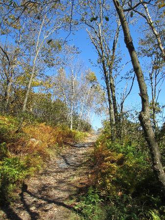 Big Pocono State Park